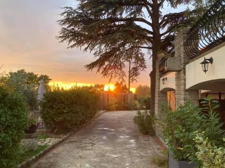 Bed and Breakfast Terre De Bacchus Vacqueyras Exteriér fotografie